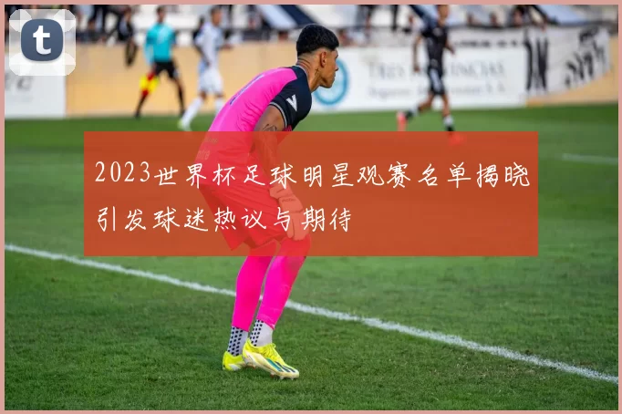 2023世界杯足球明星观赛名单揭晓引发球迷热议与期待