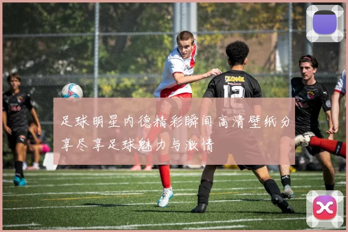 足球明星内德精彩瞬间高清壁纸分享尽享足球魅力与激情