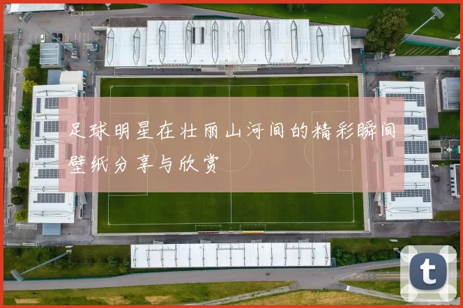 足球明星在壮丽山河间的精彩瞬间壁纸分享与欣赏