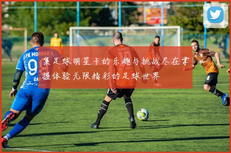 集足球明星卡的乐趣与挑战尽在掌握体验无限精彩的足球世界